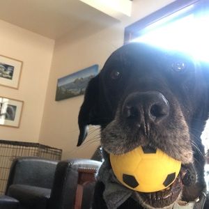 Meet your Posher, Elizabeth